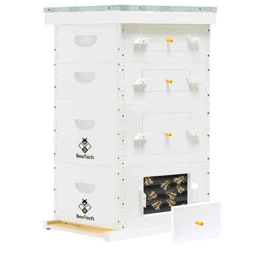 8 Frame Langstroth Bee Hive, Painted Beehive Kit with Windows Includes Unassembled Beehive Box with Beehive Frames and Foundations (2 Deep & 2 Medium)