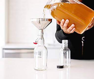 Starter Kit – Includes Organic SCOBY, Starter Liquid, 1 Gallon Glass Jar, Temp Gauge, Tea, and Sugar - style: Complete
