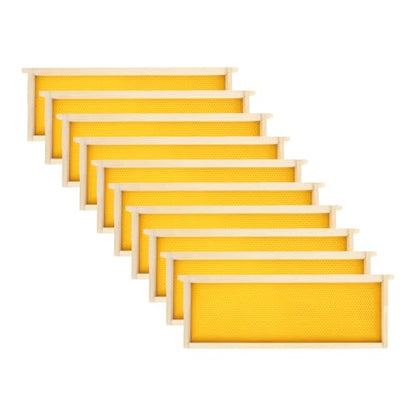 Medium Beehive Frames and Wax Foundations,10 Pack Honey Bee Frames with Wooden Bee Hive Frames and 100% Beeswax Coated Foundations, 6-1/4-Inch (Yellow) - size: 10 Pack Medium Frames-Yellow