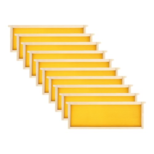 Medium Beehive Frames and Wax Foundations,10 Pack Honey Bee Frames with Wooden Bee Hive Frames and 100% Beeswax Coated Foundations, 6-1/4-Inch (Yellow) - size: 10 Pack Medium Frames-Yellow