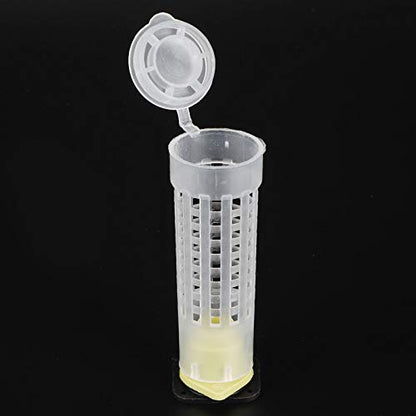 Plastic Queen Bee Rearing Box, Lightweight Portable Bee Grafting Kit Breeding Cell Cup Kit for Beekeeping Equipments Supplies