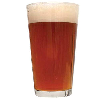Northern Brewer - 2-Pack 1 Gallon Red Ales Beer Recipe Kits - color: Red Ales