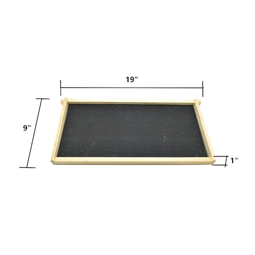 Goodland Bee Supply GL-1B-SPCR Beekeeping Beehive Brood Kit Includes Frames, Foundations, Brood Box and Spacer