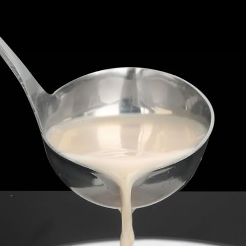 Hemoton Stainless Steel Double Spout Ladle with Long Handle for Controlled Pouring Soup and Canning Kitchen Utensil