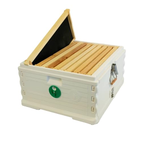 Apimaye Insulated Deep Super with 10 Wood Frames with Premier Double Waxed Foundation. (White Body Green Entrance) - color: White Body Green Entrance