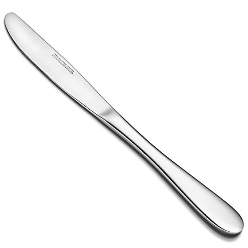 Aebeky 16-Piece Stainless Steel Table Knives,Dinner Knives Set,9.1-Inch (16-Piece) - size: 16-Piece