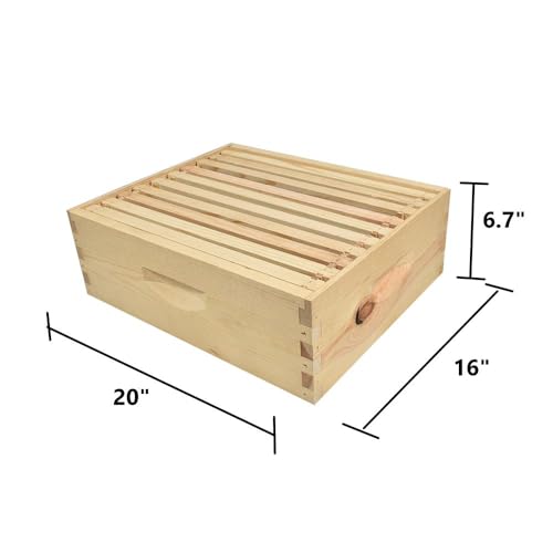 BEE-GL-1SK-TK3 GL-1SK-TK3 Super Box Kit Wood 10 Plastic Foundations, Metal Queen Excluder/Frame Spacer Included, (GLHSBOX), Medium, Multicolor