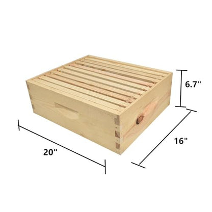 BEE-GL-1SK-TK3 GL-1SK-TK3 Super Box Kit Wood 10 Plastic Foundations, Metal Queen Excluder/Frame Spacer Included, (GLHSBOX), Medium, Multicolor