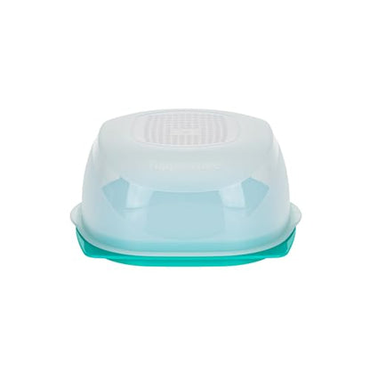Tupperware Mini Käsemax CheeSmart Max Mint Transparent (Includes Spoon)