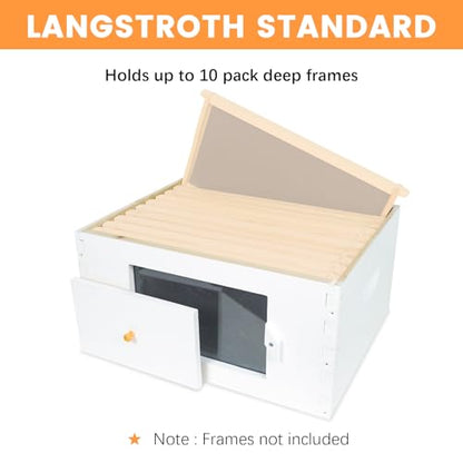10 Frames Beehive Deep Brood Box and Medium Super Box Unassembled