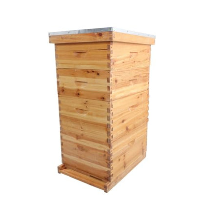 8 Frame Langstroth Bee Hive Coated with Beeswax Includes Beehive Frames and Waxed Foundations (2 Deep Boxes 2 Medium Boxes)