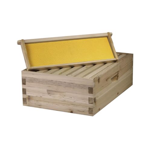 NuBee 8-Frame Beehive Kit – Complete Langstroth Hive with 1 Deep & 1 Medium Box, Wax-Coated Foundations, Telescoping Cover, and Queen Excluder – Beginner-Friendly & Durable Beekeeping Kit