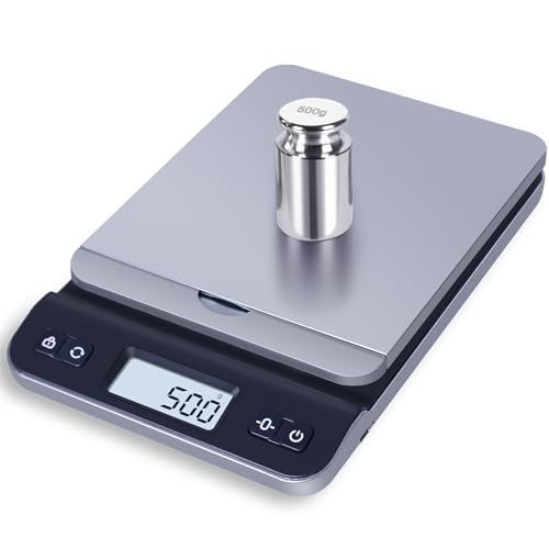 QP 500g Calibration Weights, OIML M1 High Precision Gram Weights, Stainless Steel Scale Calibration Weight for Digital Scale, Weight Scale, balance Scale, Chrome Finish Scale Weights with Storage Case - size: 500g