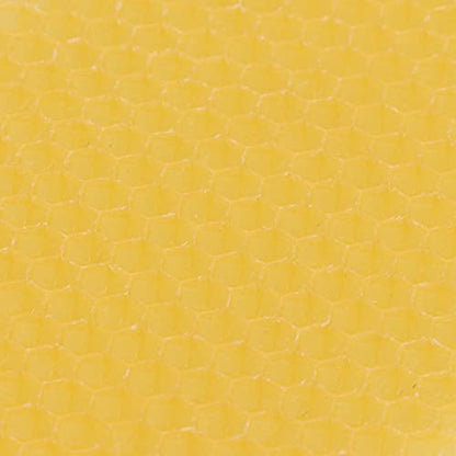 10 Sheets Beekeeping Beeswax Sheets Natural Useful Pure for Bee Hives (Medium)