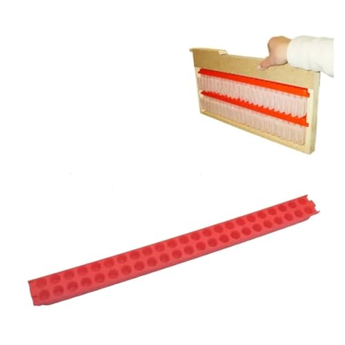 Queen Bee Cell Cage with Transport Box Bee Moving Isolator Protection Case Queen Rearing Bar Beekeeping Tools