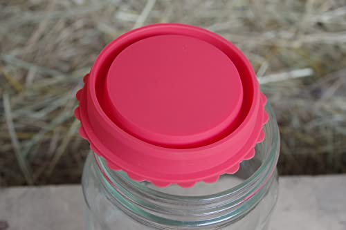 Masun Silicone mason jar lids Made to fit Wide and Regular Mouth mason jar 4 Pack (Red, Blue 4 Pack) - color: Red, Blue 4 Pack
