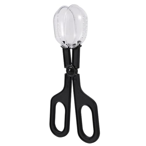 Queen Bee Cage 6pcs Bee Catching Clip Bee Queen Transfering Tool Beekeeping Apiculture Isolation Cage Room Reptile Feeding Clip