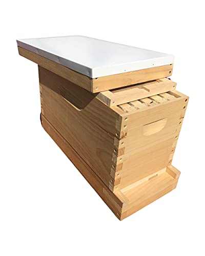 5 Frame Deep 9 5/8 Nuc Complete Bee Hive with Frames & Foundations (Un-Assembled) (Solid Bottom)