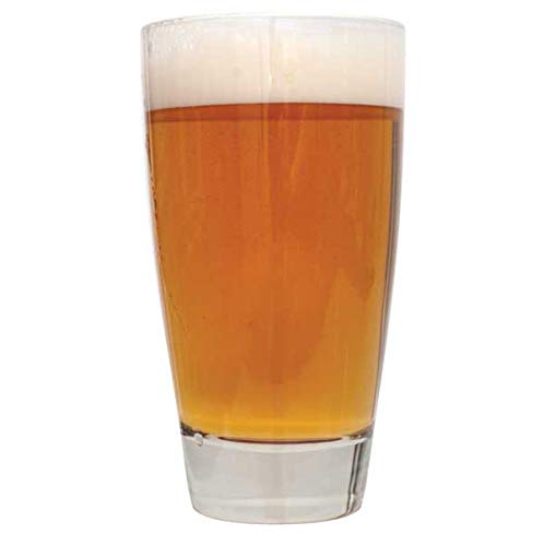 Northern Brewer - 2-Pack 1 Gallon Death By Hops Beer Recipe Kits - color: Death By Hops