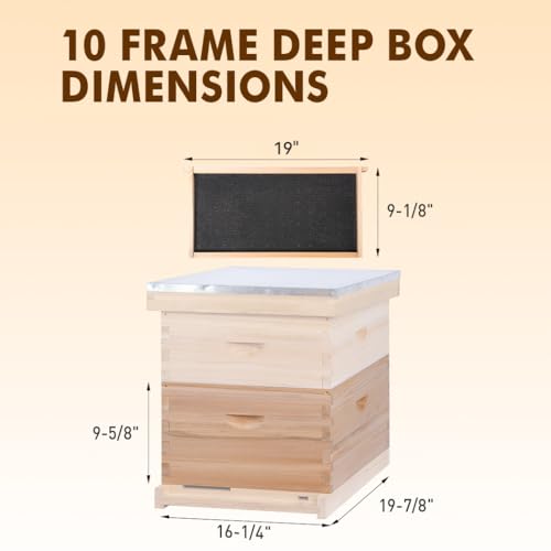 10 Frame Deep Beehive Box,Langstoth Deep Brood Bee Hive Box, Include Beehive Frames and Waxed Foundations - size: 10 Frame