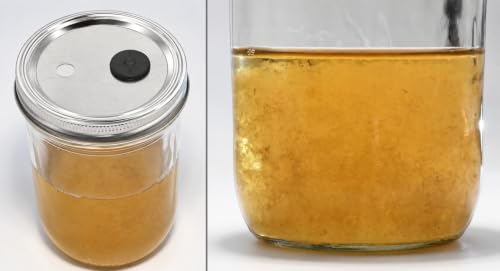 Root Mushroom Farm- 6Pcs Wide Mouth Mushroom Liquid Culture Lids, Mason Jar Lid with Two air exchange openings, 0.22um PTFE Filters & 20mm Self Healing Injection Port - style: Wide Mouth Jar Lids
