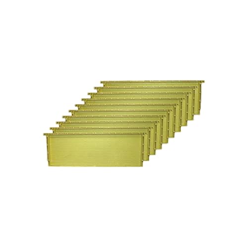 Mann Lake Premium Beekeeping Frames, All-In-One Frame & Foundation, Beeswax Coating, Universal Fit, BPA & BPS Free, 6 1/4 Inches, Natural, 10-Pack - color: Natural