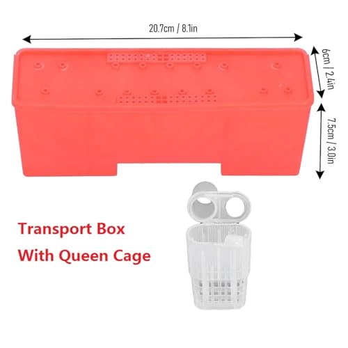 Queen Bee Cage 1 Set Beekeeping King Cage Queen Bee Transport Box with Transparent Cages Incubator Tools for Beekeeping Supplies