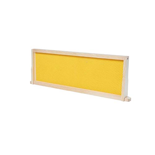 BeeCastle 10-Pack Beehive Bee Frames Waxed Foundation with Complete Unassembled Commercial Frames, 6-1/4-Inch (Yellow) | medium super beehive frames with foundations - size: 10-Pack
