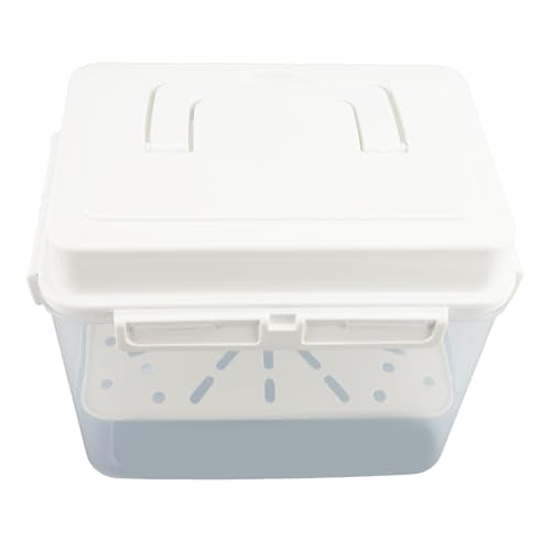 Asixxsix 4L Sauerkraut Container, Leakproof Airtight Pickle Kimchi Container with Press Plate and Handle, Pickle Kimchi Press Ferment Storage
