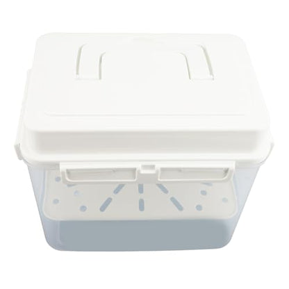Asixxsix 4L Sauerkraut Container, Leakproof Airtight Pickle Kimchi Container with Press Plate and Handle, Pickle Kimchi Press Ferment Storage