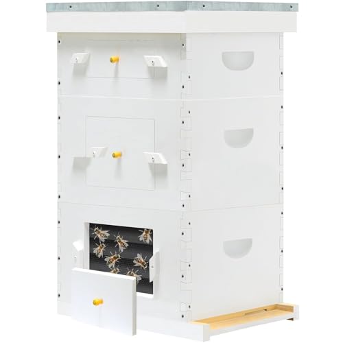 Hand-Painted 8-Frame Beehive with Windows - 2 Deep Brood Boxes & 1 Medium Super Box, Includes Frames & Foundations