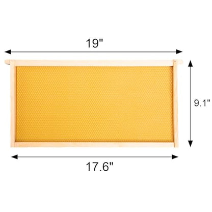 BeeCastle 20 Pack Beehive Frames and Waxed Foundations for Deep Brood Bee Hives with Wooden Bee Hive Frames and Beeswax Coated Foundations, 9-1/8-Inch (Yellow) - size: 20-Pack
