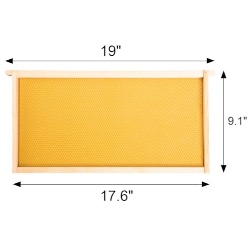 BeeCastle 20 Pack Beehive Frames and Waxed Foundations for Deep Brood Bee Hives with Wooden Bee Hive Frames and Beeswax Coated Foundations, 9-1/8-Inch (Yellow) - size: 20-Pack