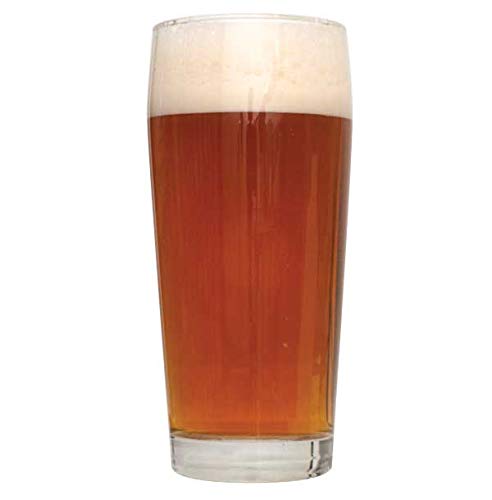 Northern Brewer - 2-Pack 1 Gallon Red Ales Beer Recipe Kits - color: Red Ales
