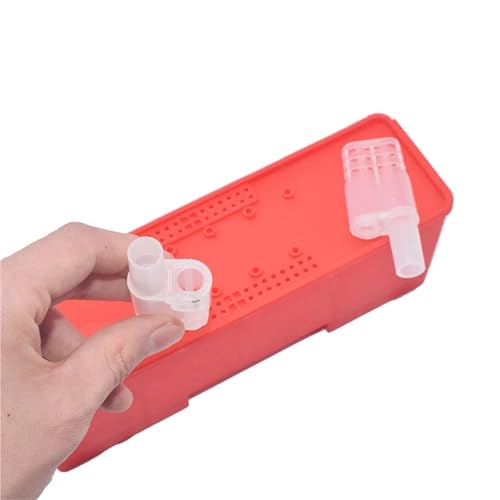 Queen Bee Cage 2sets Queen Bee Transport Cage Queen Bees Shipping Carton Queen Rearing Incubator Bee Moving Isolator Protection Case Beekeeping Tools for Beekeeping Supplies