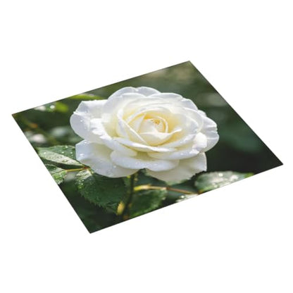 White Rose Dish Drying Mat for Kitchen Counter, Absorbent Microfiber Drainer Mats, Non-slip Kitchen Draining Mat for Coffee Machine Dish Rack Pad 18"x16" Dish Drainer Pad - color: White Rose