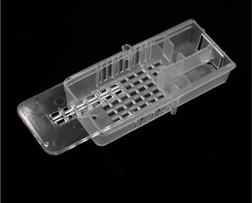 Queen Bee Cage 30Pcs Queen Bee Transport Cages Beekeeping Equipment Clear House Beehive White Transparent Cage for Beekeeping Supplies