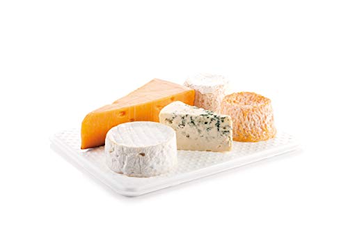 Tescoma Healthy Container for The Refrigerator Purity, for Cheese, Assorted, 28.2 x 22.6 x 9.7 cm