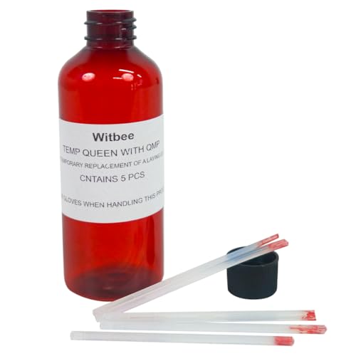 Temp Queen with QMP Queen Pheromone for Improve Queen Rearing Success, Temporary Queen Replacement, Ship Queenless Packages, Holding Queenless Splits and Nuclei, 5pcs