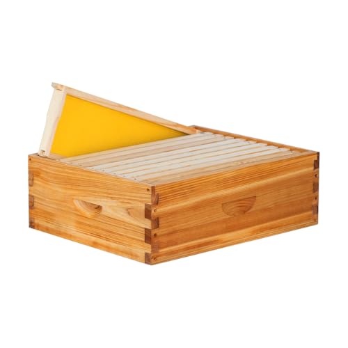 10 Frame Medium Super Beehive Box Wax Coated Bee Hives Includes Beehive Frames and Waxed Foundations (Unassembled) - size: Medium super box