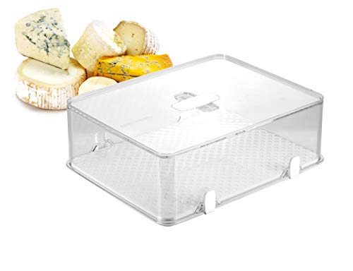 Tescoma Healthy Container for The Refrigerator Purity, for Cheese, Assorted, 28.2 x 22.6 x 9.7 cm