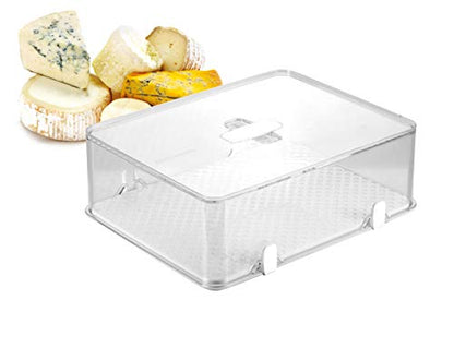Tescoma Healthy Container for The Refrigerator Purity, for Cheese, Assorted, 28.2 x 22.6 x 9.7 cm
