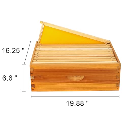 Honey Lake 10 Frame Medium Super Bee Hive Box, Langstroth Beehive Super Honey Bee Box Dipped in Beeswax Include Beehive Frames and Waxed Foundations for Beginners Beekeepers (Unassembled) - size: 10-Frame Medium