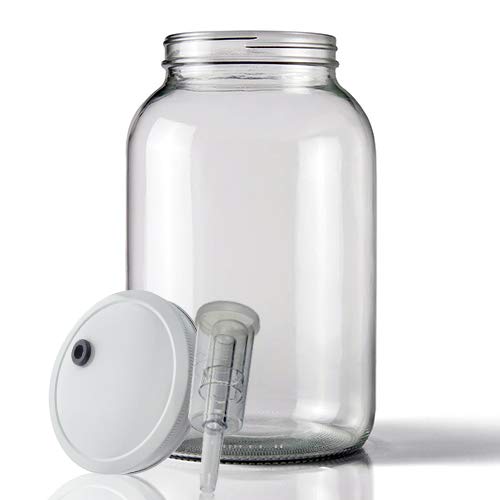Home Brew Ohio Wide Mouth Jar 1 Gal w/ 110mm White Metal Cap And Econo-Lock Airlock