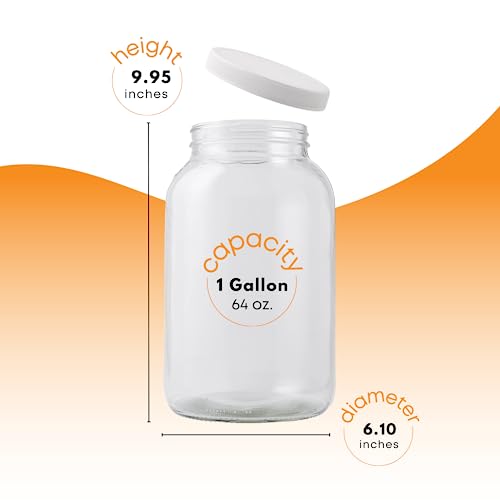 Fastrack 1 Gallon Glass Widemouth Jar, Clear (Pack of 2) - size: 2 Pack