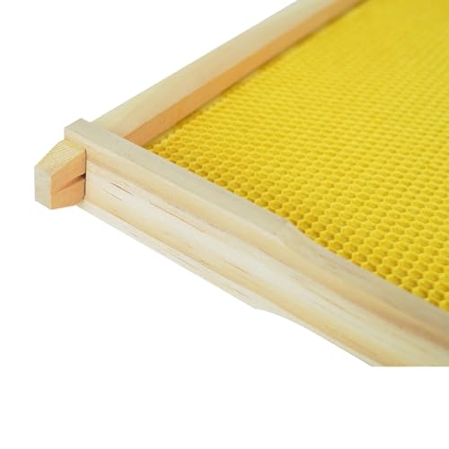 Deep Brood Beehive Frames with Wax Foundation 10pack Beehive Frames Beeswax Dipped Plastic Foundations for Beekeeping 9-1/8-Inch - size: 10 Pack Deep Brood Beehive Frames