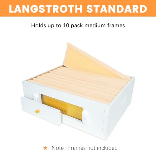 BeeTech 10 Frame Langstroth Beehive Medium Super Box Painted Not Includes Wooden Frames & Waxed Foundations (Unassembled)