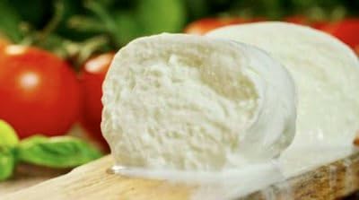 Standing Stone Farms Complete Cheese Making Kit - Includes our Award Winning Ultimate Kit plus Equipment ~ Makes Hard & Soft Cheese ~ Detailed Recipes Included.