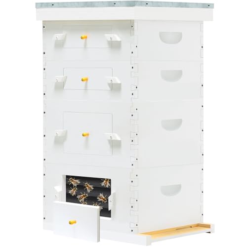 Painted Beehive with Windows Langstroth 10 Frame – 4-Layer Bee Hive Includes 20 Medium & 20 Deep Frames with Wax Foundations (2 Deep & 2 Medium Super Bee Box)
