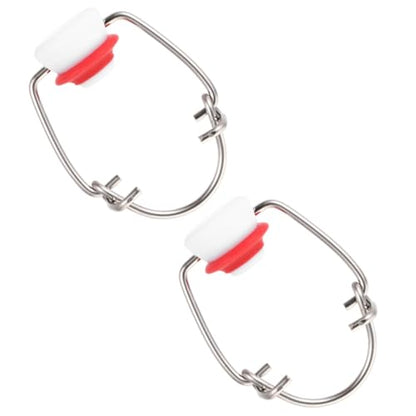 Healeved 2pcs Red Toggle Top Bottle Caps for Glass Beer Bottles Stainless Steel Flip Caps with Red Silicone Seal for Homebrewing and Craft Beer Bottling